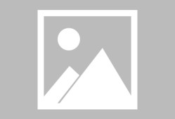 关于今晚足总杯焦点战，明尼苏达森林狼强势反弹，目标明确，细节决定成败的信息